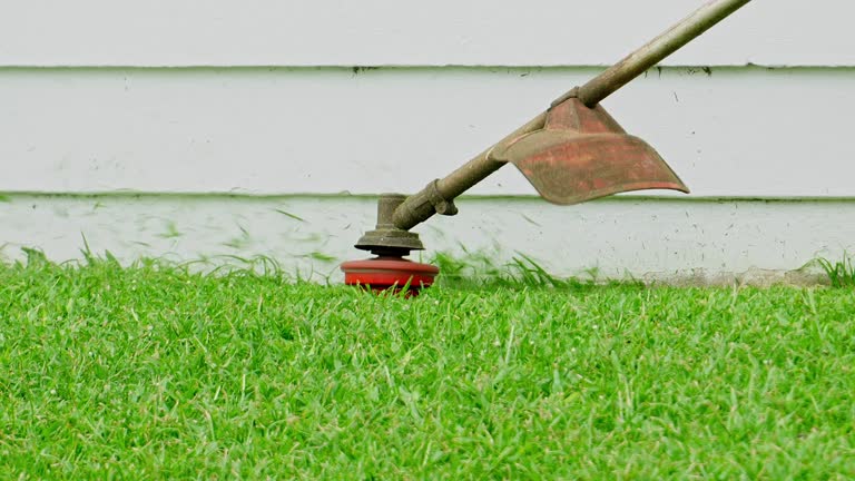 How Our Tree Care Process Works  in  Mount Vernon, AL